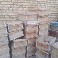 کندو زنبور|عمده‌فروشی|کاشمر, |دیوار