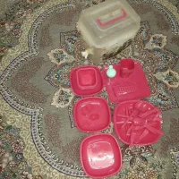 ظرف مسافرتی