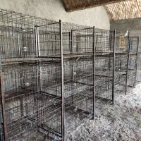 فروش تعدادی قفس نو و کارکرده سگ وگربه و مرغ و خروس|لوازم جانبی حیوانات|بادرود, |دیوار