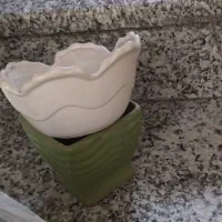 گلدان خالی|گل و گیاه طبیعی|تهران, خانی آباد نو جنوبی|دیوار