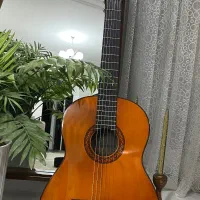 فروش گیتار