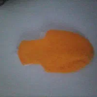 پوشک پرنده