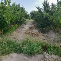 زمین-باغی-700متر-سند-تک-برگ-شهریار-دهشادبالا