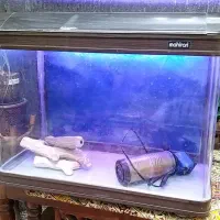 اکواریوم شرکتی شیشه خم درجه یک