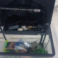 آکواریوم ماهیران با تجهیزات کامل|ماهی|اصفهان, شهرک میلاد|دیوار