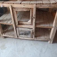 کودکفترتمیزبدون‌پر