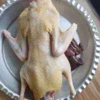 اردک محلی|حیوانات مزرعه|فومن, |دیوار