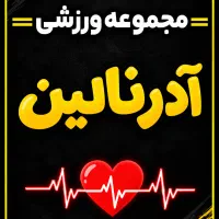 پذیرش مربی در تمامی رشته‌های ورزشی