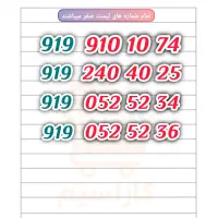 ۹۱۹ جفت وسط srei9501