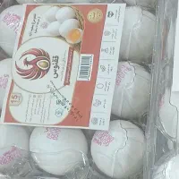 تخم مرغ مارک ققنوس