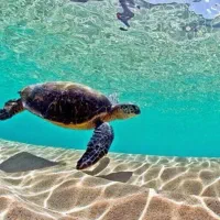 تور کیش مشهد قشم