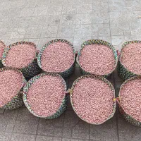 بادام،کره بادام،آجیل و خشکبار، برنج|عمدهفروشی|آستانه اشرفیه, |دیوار