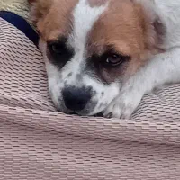 نداشتن مکان بفروش می رسد