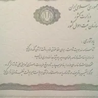 یک عدد شناسنامه گم شده
