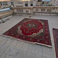 فرش دستباف نجب آبادی ۱۲ متری