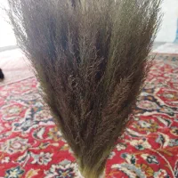 جارو (مرمنی)