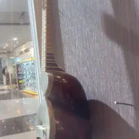 شش تارودیوان