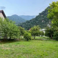 فروش فوری 320متر زمین بافت زرد سندتک برگ با چک|فروش زمین و ملک کلنگی|خرمآباد (تنکابن), |دیوار