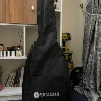 کیف گیتار