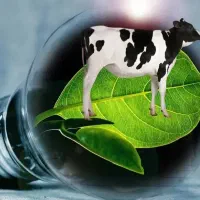 کود مایع بیوگاز تقویتی قوی برای رشد همه گیاهان