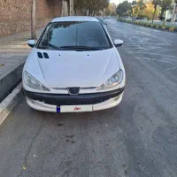 ۲۰۶ اس دی مدل ۸۹دوگانه|خودرو سواری و وانت|سنندج, |دیوار