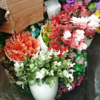 حدود چهار هزار قلم گل و گلدون