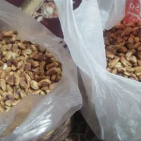 مغزپسته باکیفیت|خوردنی و آشامیدنی|خان ببین, |دیوار