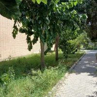 ویلایی-ب1-محله-سرسبز-فولاد-شهر