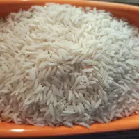برنج هاشمی عطری تک محصول گیلان استا نه اشرفیه|خوردنی و آشامیدنی|رشت, معلم|دیوار