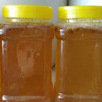 روغن و کشک گوسفندی و عسل طبیعی|خوردنی و آشامیدنی|لردگان, |دیوار