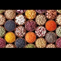 انواع حبوبات لوبیا چیتی قرمز سفید عدس نخود