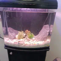 آکواریوم حرفه ای با لوازم کامل و میز|ماهی|زاهدان, |دیوار