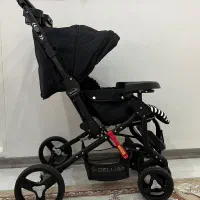 کالسکه دلیجان مدل بنیتا