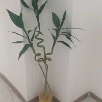 گلدان بامبو مصنوعی