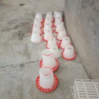 آبدان و غذاخری