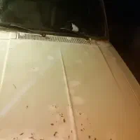 پیکان مدل 83|خودرو سواری و وانت|ماهان, |دیوار