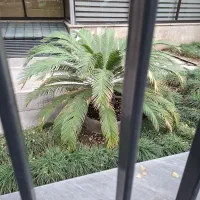 اجاره-مستغلات-200-متری-دریان-نو