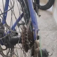 دوچرخه ۲۴|دوچرخه، اسکیت، اسکوتر|تربت جام, بیست متری منبع آب|دیوار