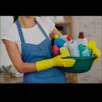 استخدام نظافت چی خانم در امور خانه