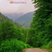 فروش حواله خودرو