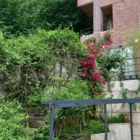 ویلای کلنگی در ۲۳۰ متر زمین با بر ۱۴