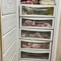 یخچال و فریزر|یخچال و فریزر|شیراز, نصر|دیوار