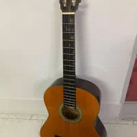 گیتار AK20 Arya|گیتار، بیس، امپلیفایر|قزوین, |دیوار