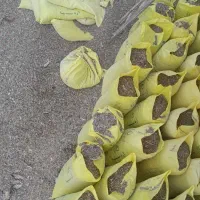 خدمات تمیزکاری فضولا.ت کبوتر کود