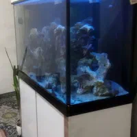 فروش آکواریوم ابشور و شیرین