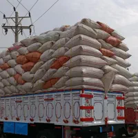 خوراک دام. کاه دیم درجه یه