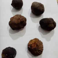 تعدادی سنگ آسمانی