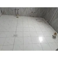 کاشیکاری و....|خدمات پیشه و مهارت|مسجد سلیمان, |دیوار