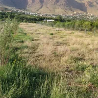 زمین باغی