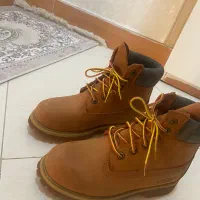 پوتین تیمبرلند